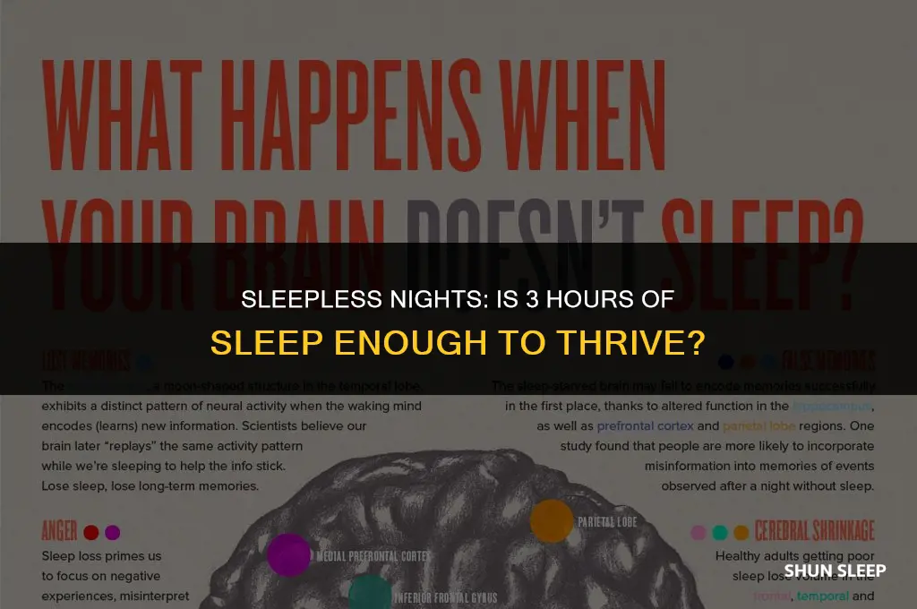 can you live with sleeping only 3 hours a day