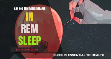 REM Sleep and Dreams: Can We Recall Them?