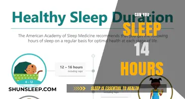 Exploring the Effects of 14-Hour Sleep: Benefits and Drawbacks