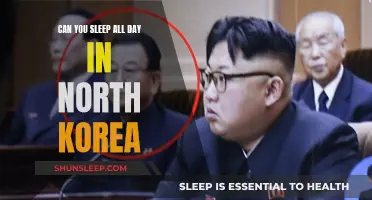 Sleeping in North Korea: A Day in the Life