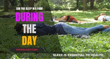 Daytime Napping in Parks: Is It Allowed?