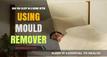 How Long to Wait After Using Mold Remover?