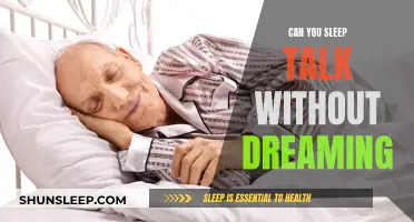 Sleep Talking: Is Dreaming Necessary?