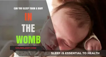 Can You Sleep Train a Baby in the Womb? Exploring Prenatal Sleep Patterns