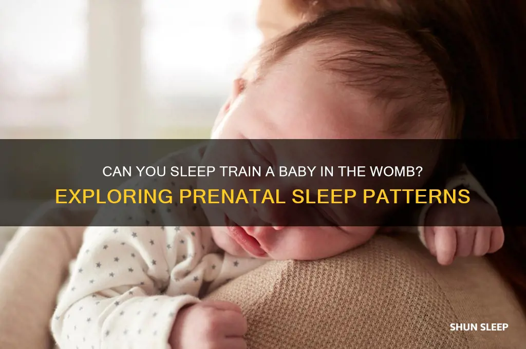can you sleep train a baby in the womb