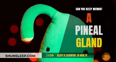 Pineal Gland Removal: Can You Still Sleep?