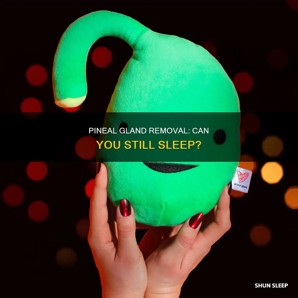can you sleep without a pineal gland