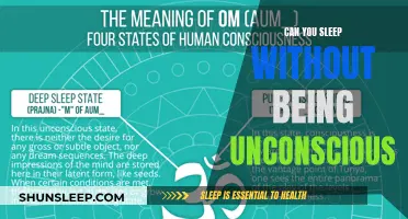 Sleep and Consciousness: A Complex Relationship