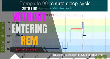 Sleep and REM: Is It Possible to Rest Without?