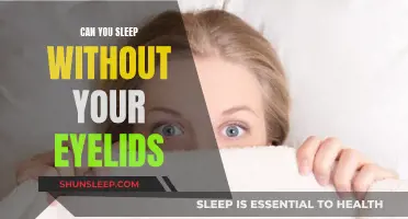 Eyelids: Guardians of Sleep, Essential for Eye Health