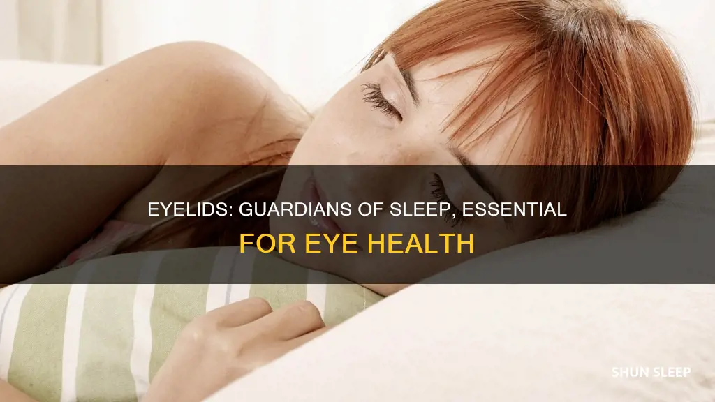 can you sleep without your eyelids