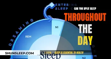 Splitting Sleep: Day-Long Strategy for Optimal Rest