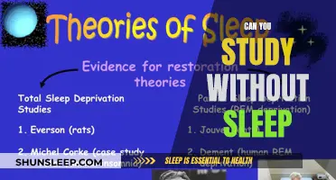 Studying Without Sleep: Is It Possible?