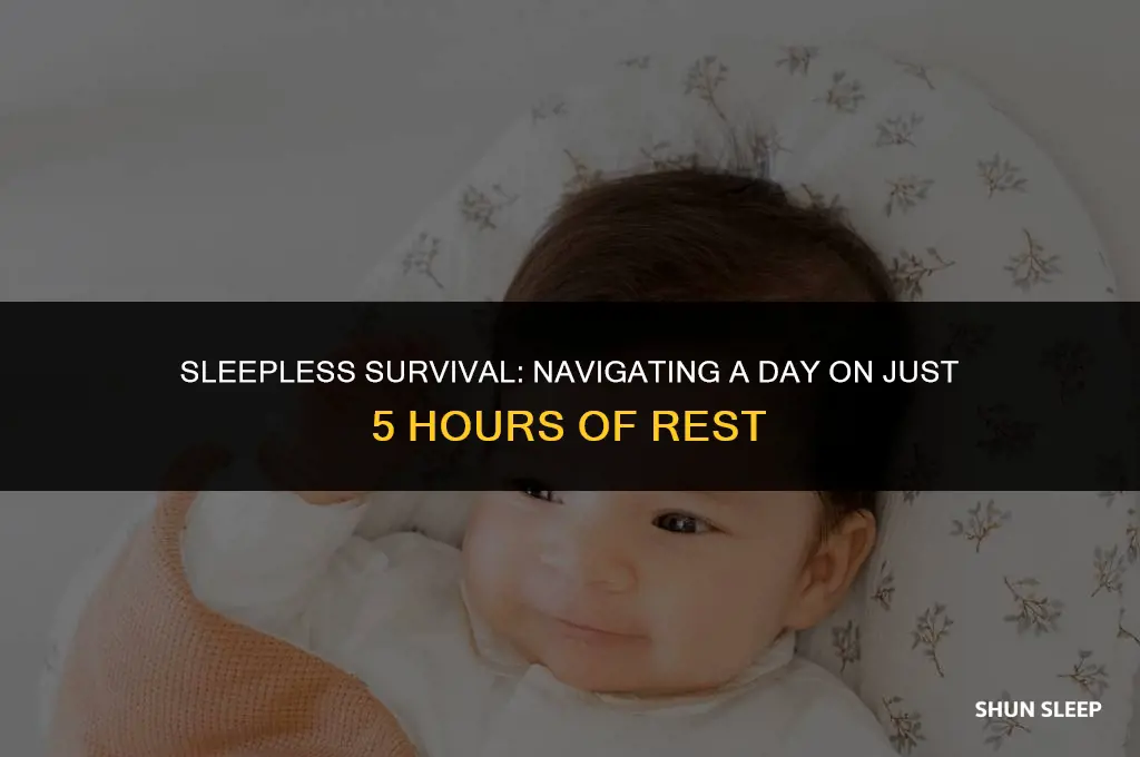 can you survive a day with 5 hours of sleep
