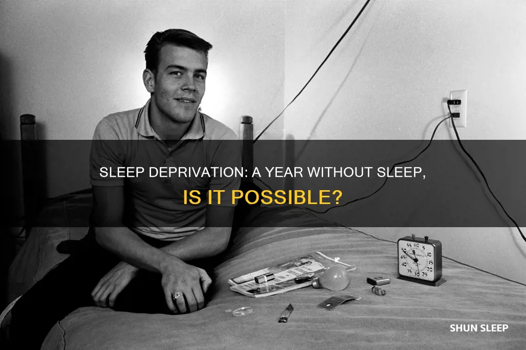 can you survive a year without sleep