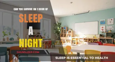 Sleepless Nights: The Ultimate Guide to Surviving on Just One Hour of Sleep