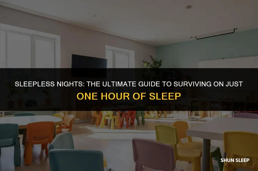 can you survive on 1 hour of sleep a night