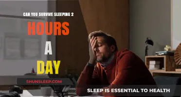 Sleepless Nights: The Ultimate Guide to Surviving on Just 2 Hours of Sleep