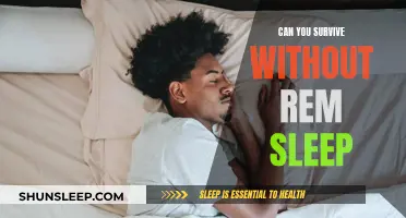 The Mystery of REM Sleep: Is It Essential for Survival?
