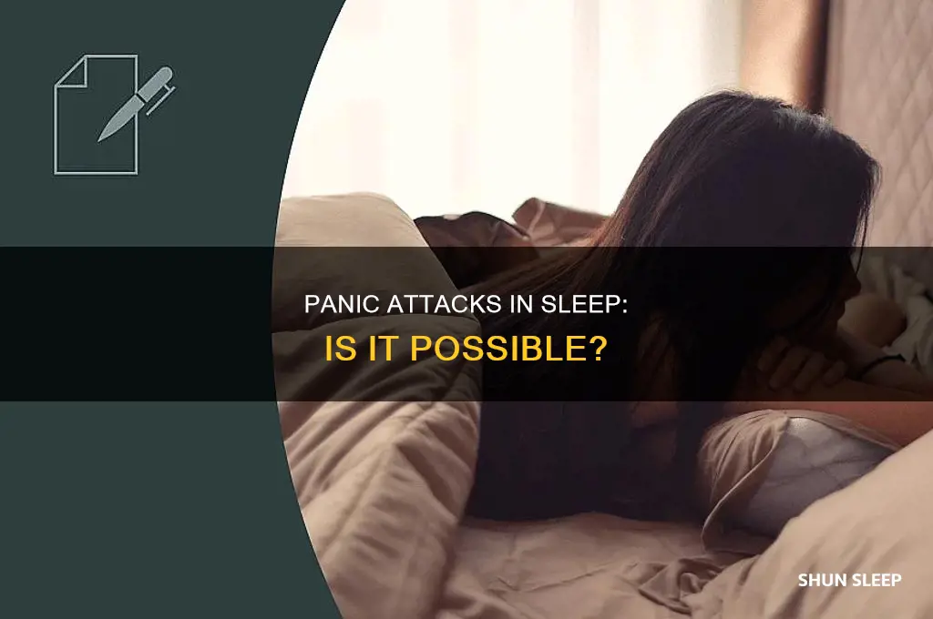 can you take a panic attack in your sleep