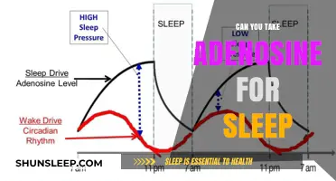 Adenosine for Sleep: A Natural Solution?