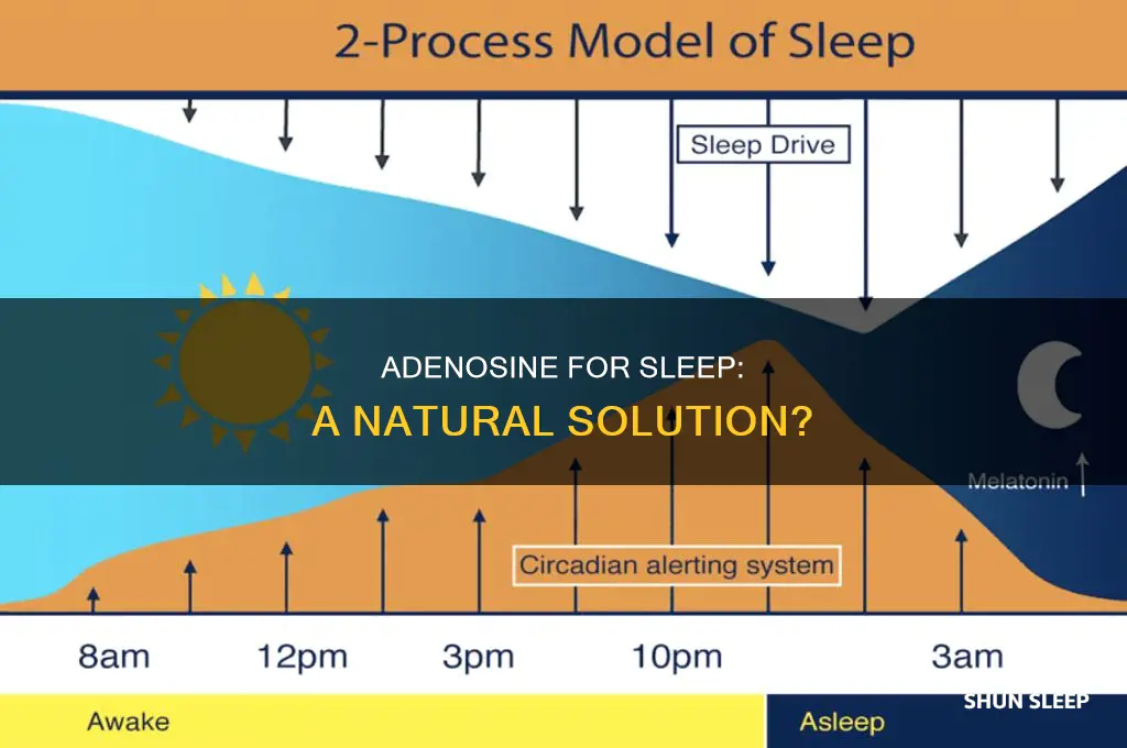 can you take adenosine for sleep