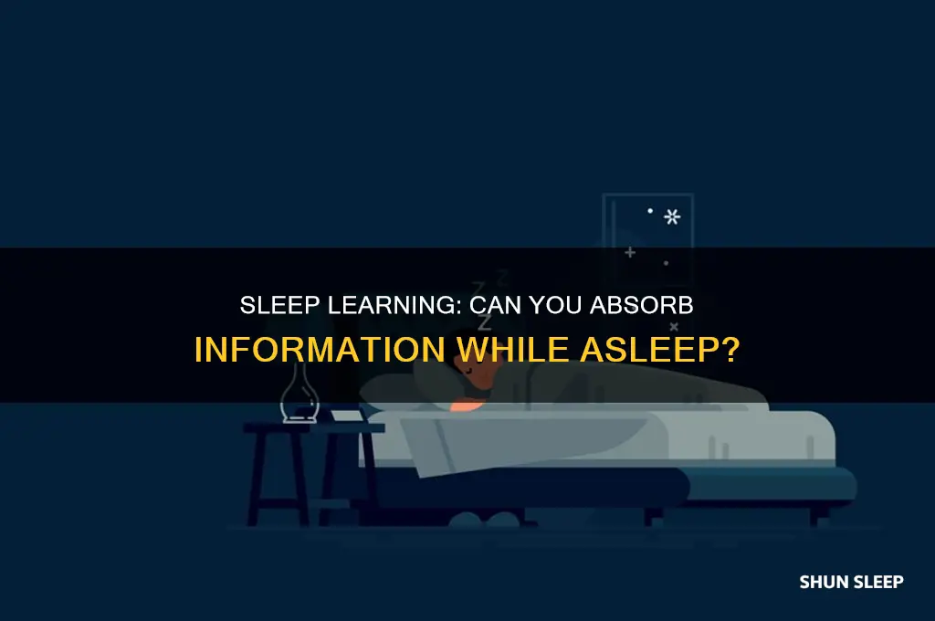 can you take in information while sleeping