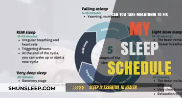 Melatonin for Sleep: Can It Fix Your Schedule?