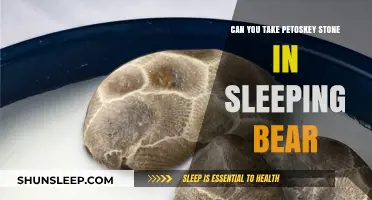 Petoskey Stones and Sleeping Bear Dunes: A Perfect Match?