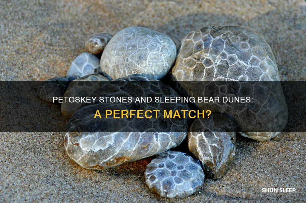 can you take petoskey stone in sleeping bear