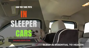 Traveling with Pets: Sleeper Cars Pet Policy