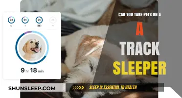 Traveling with Pets on a Track Sleeper: What You Need to Know