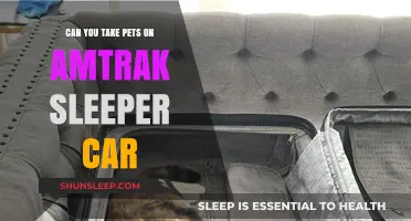 Traveling with Pets on Amtrak Sleeper Cars: What You Need to Know