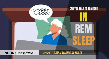 Talking to Someone in REM Sleep: Is it Possible?