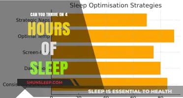 Unlocking Productivity: The Art of Thriving on Just 4 Hours of Sleep