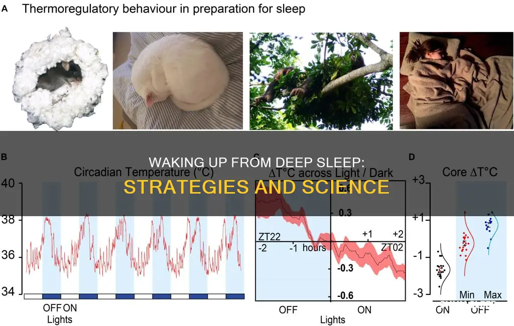 can you wake someone up from a deep sleep