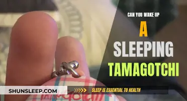 Reviving a Slumbering Tamagotchi: Tips for Waking Up Your Virtual Pet