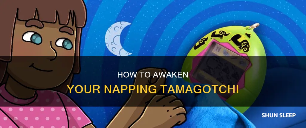can you wake up a sleeping tamagotchi