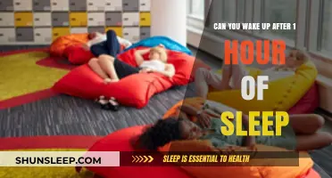 Reviving Productivity: The Power of a 1-Hour Power Nap