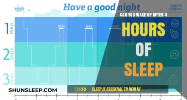 Reviving Productivity: The Power of a 4-Hour Sleep Cycle
