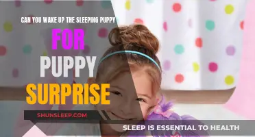How to Gently Wake Up Your Sleeping Puppy