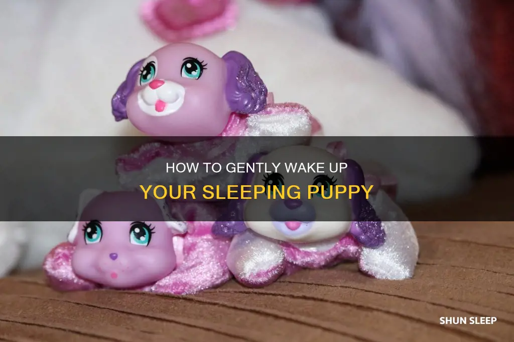 can you wake up the sleeping puppy for puppy surprise