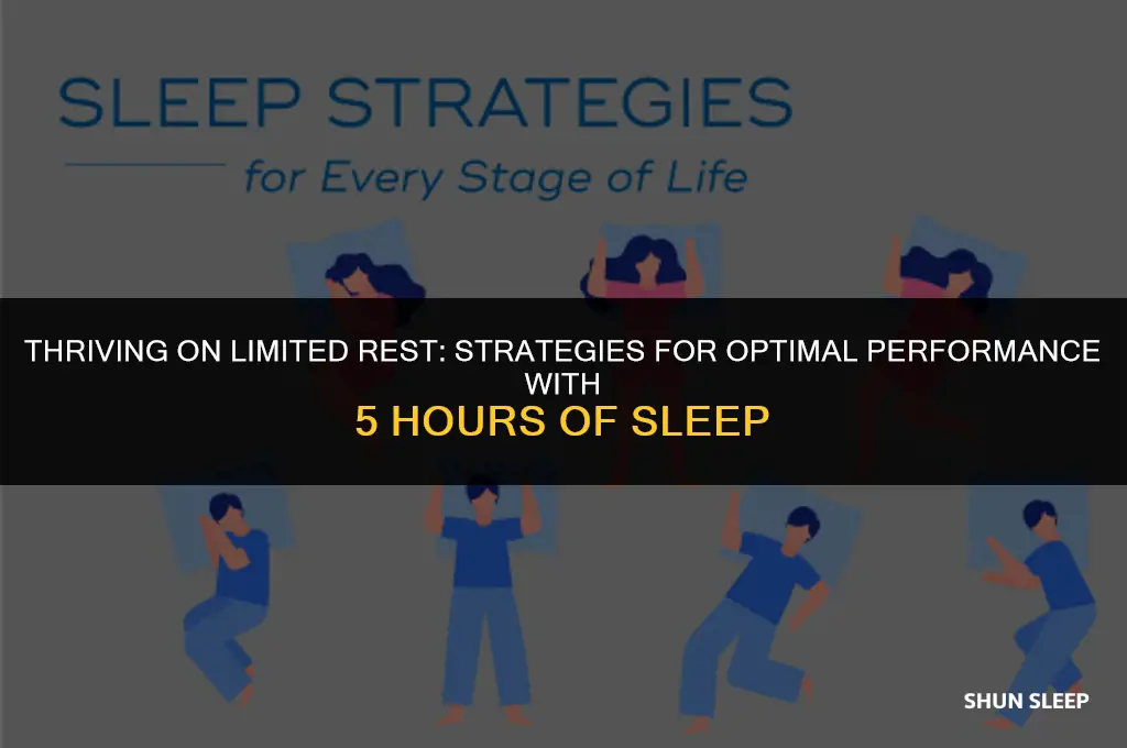 can you work on 5 hours of sleep