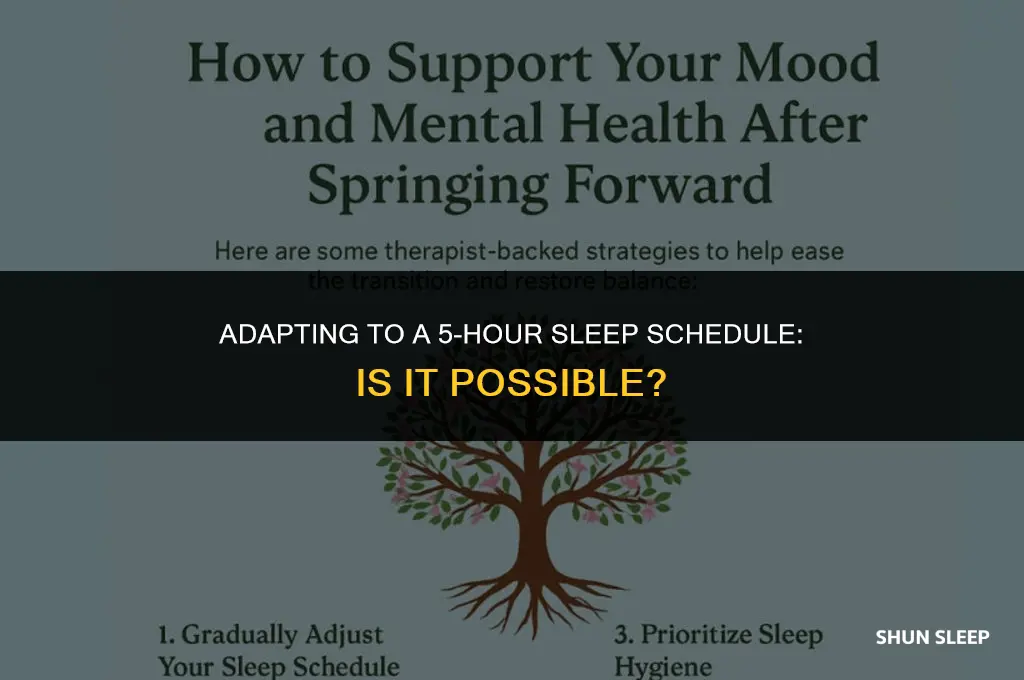 can your body adjust to 5 hours of sleep