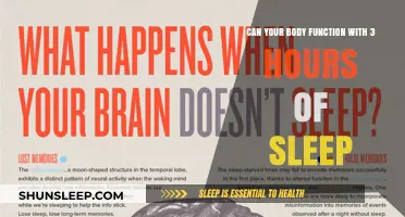 Sleepless Nights: Can Your Body Survive on Just 3 Hours of Rest?