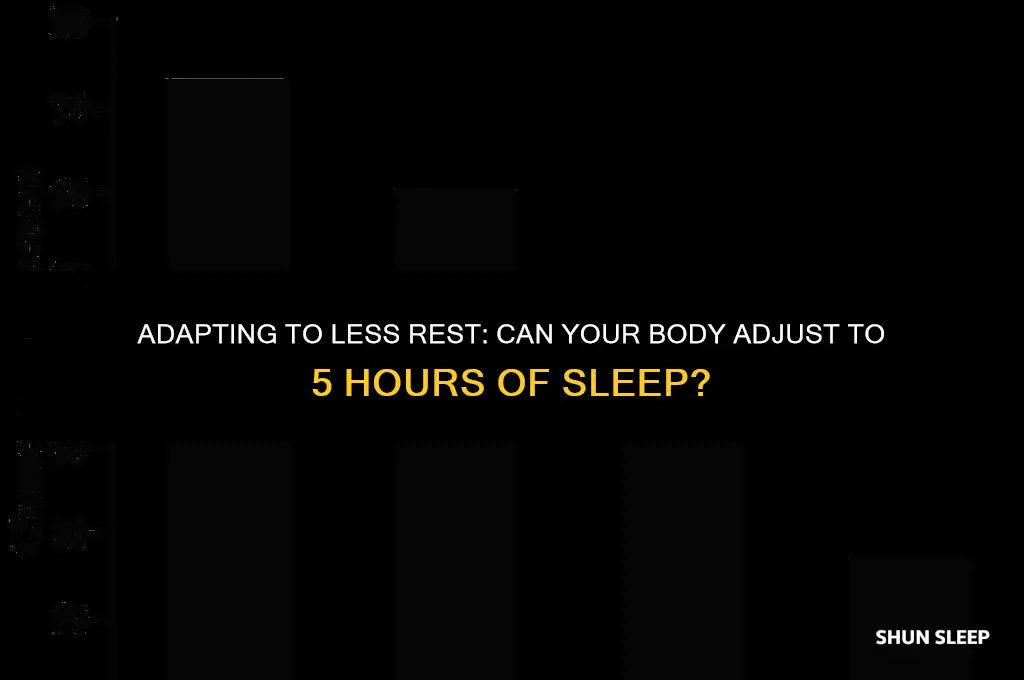can your body get used to 5 hours of sleep