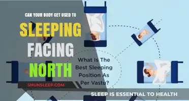 Sleeping Facing North: Can Your Body Adapt to This Direction?