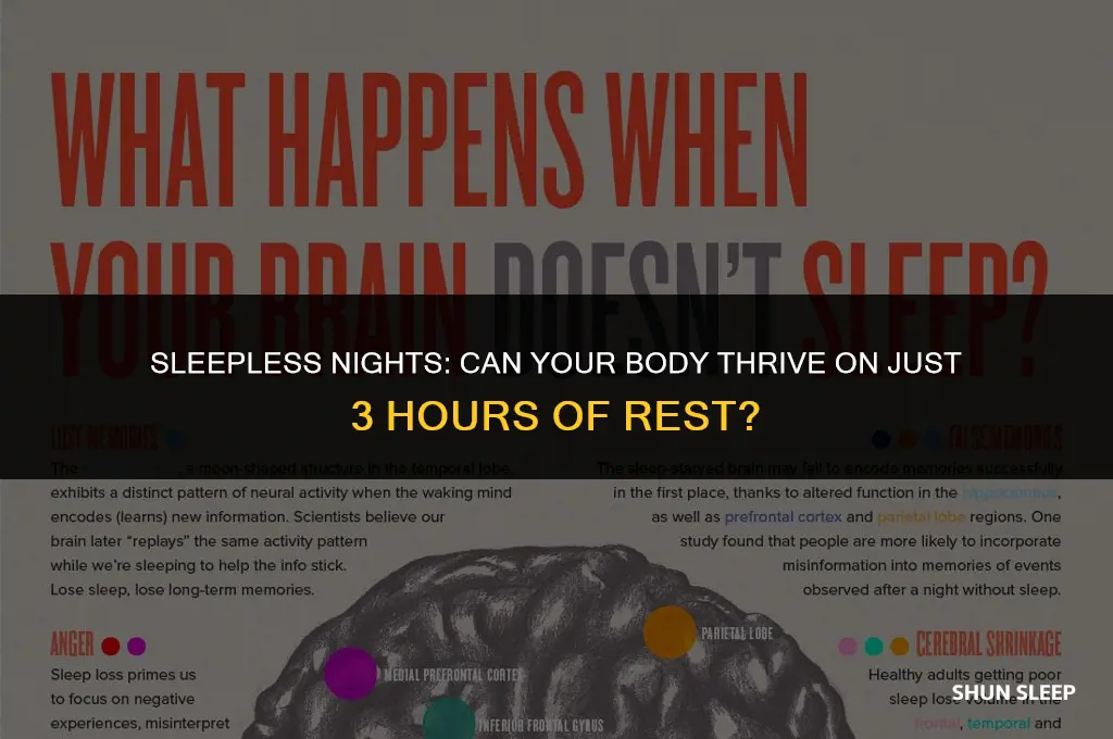 can your body run on 3 hours of sleep