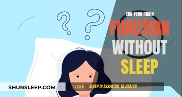 Brain Activity and Sleep: What's the Connection?