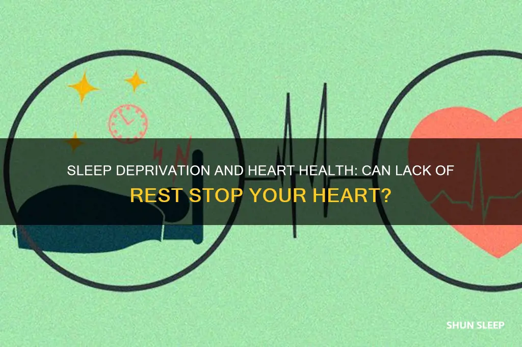 can your heart stop if you don